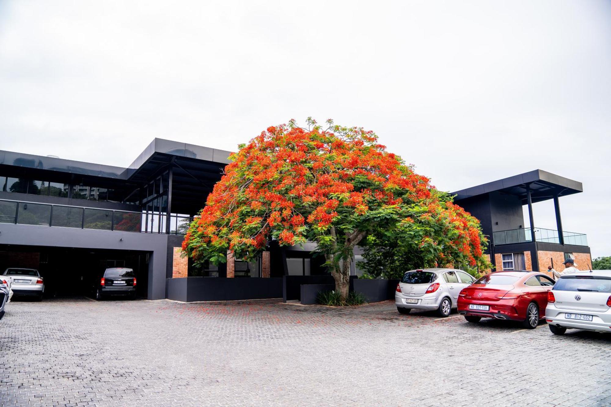 Zar Hotel Amanzimtoti Luaran gambar